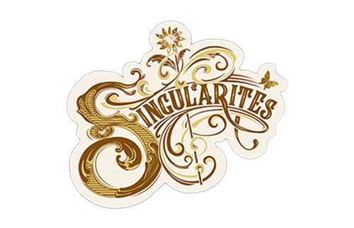 Singularités